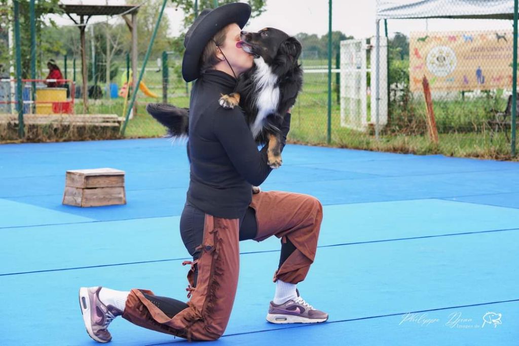 Dogdancing